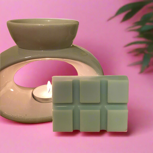 Eucalyptus & Spearmint Wax Melt Snap Bar