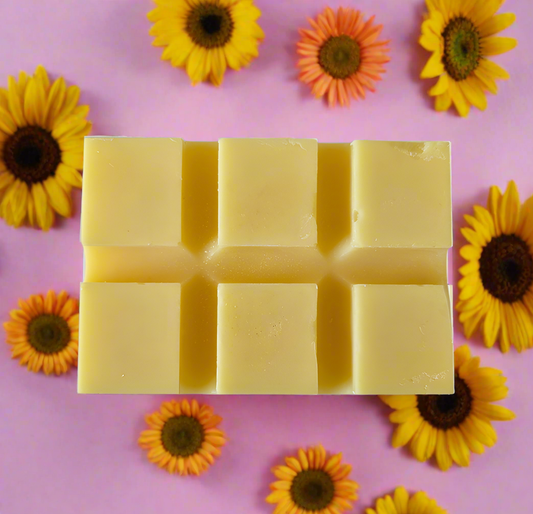 Summer Breeze Wax Melt Snap Bar